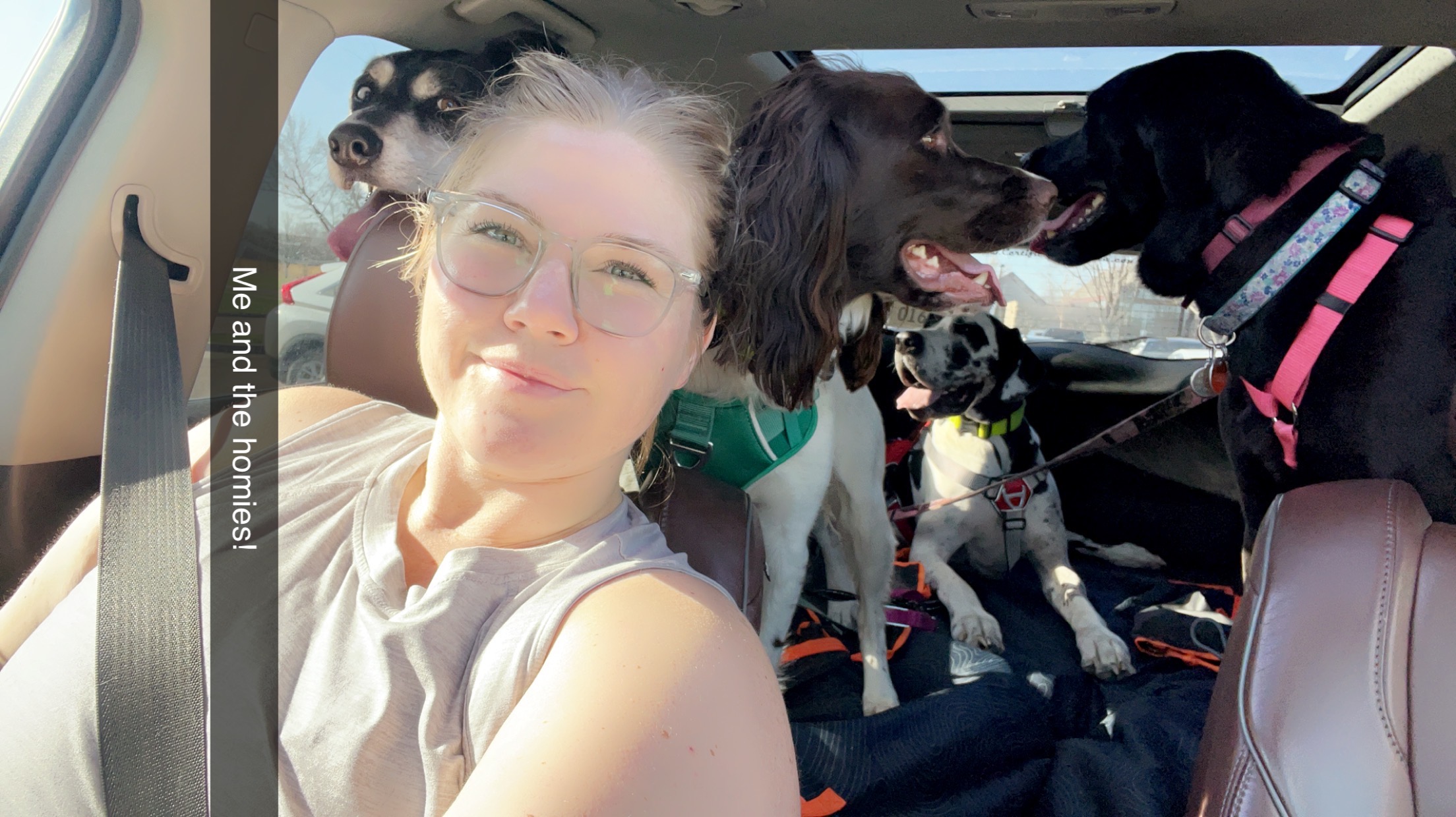 Tia & Dogs
